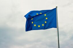 Второй фронт для "колонии Европа"